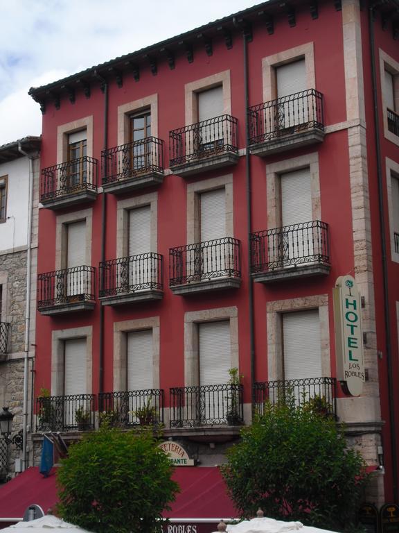 Hotel Los Robles Cangas de Onis Bagian luar foto